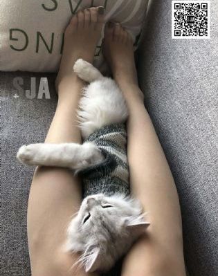 甜甜圈电影高清在线观看